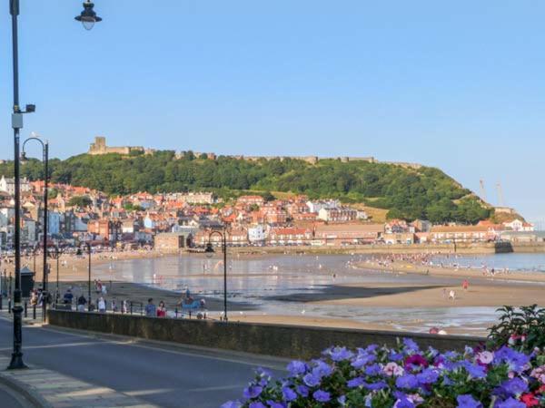 Picadore Scarborough Dış mekan fotoğraf